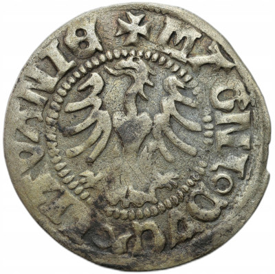 Aleksander Jagiellończyk (1501-1506). Półgrosz litewski bez daty, Wilno