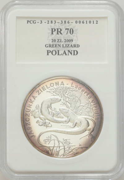 20 złotych 2009 Jaszczurka Zielona – SREBRO