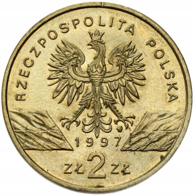 2 złote 1997 Jelonek Rogacz – RZADSZE