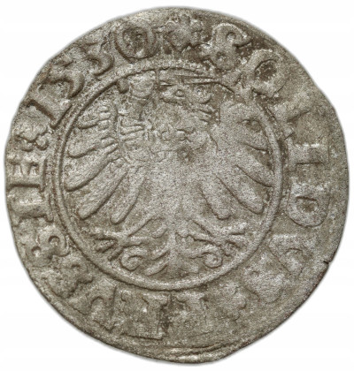 Zygmunt I Stary. Szeląg 1530, Toruń – RZADKOŚĆ R6