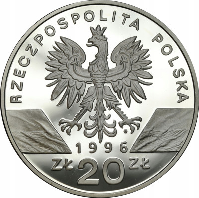 20 złotych 1996 Jeż – RZADSZE