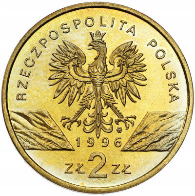 2 złote GN 1996 Jeż – RZADSZE