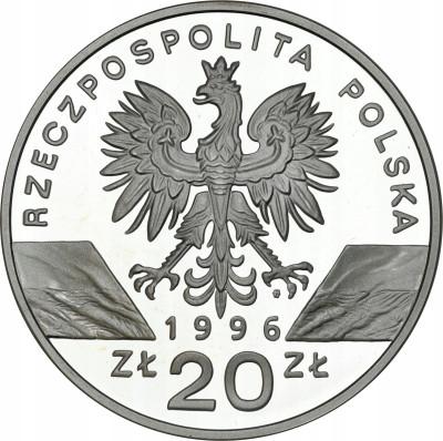 20 złotych 1996 Jeż – RZADSZE