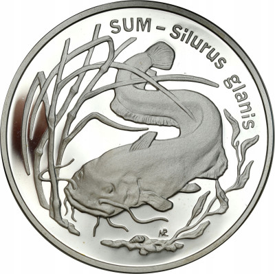 III RP. 20 złotych 1995 Sum – RZADSZE