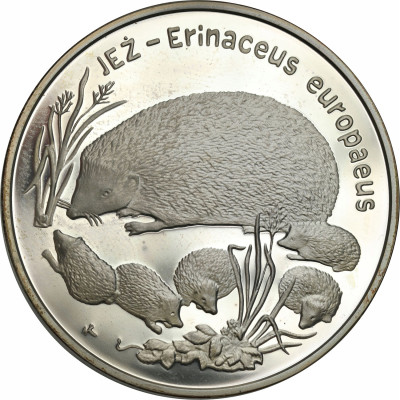 20 złotych 1996 Jeż – RZADSZE