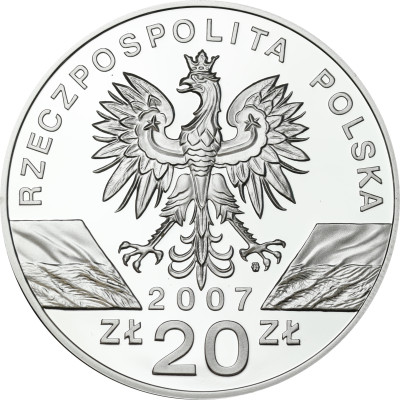 20 złotych 2007 Foka Szara – SREBRO