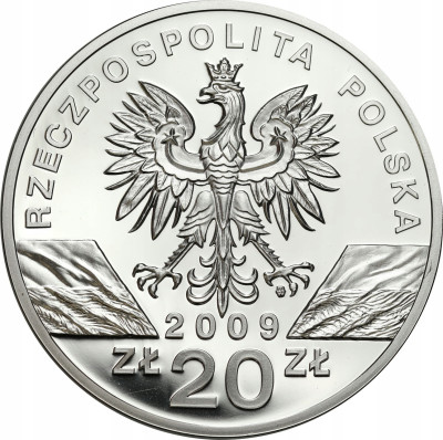 20 złotych 2009 Jaszczurka Zielona – SREBRO