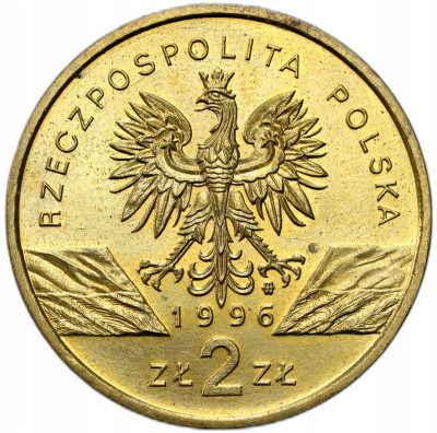 2 złote GN 1996, Jeż – RZADSZE