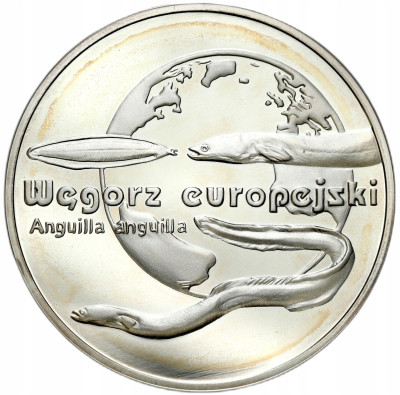 20 złotych 2003, Węgorz Europejski – SREBRO