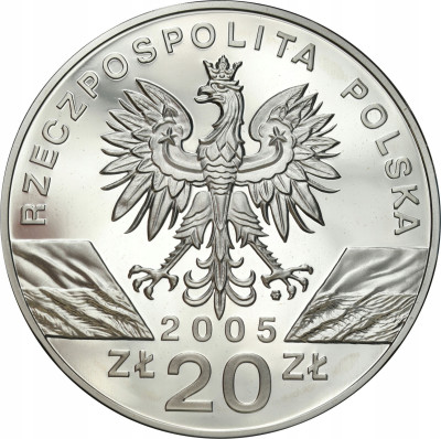 20 złotych 2005 Puchacz – SREBRO