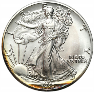 USA. 1 dolar 1989 Liberty – UNCJA SREBRA