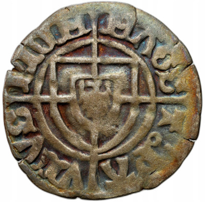 Zakon Krzyżacki. Paweł I Bellitzer von Russdorff (1422–1441). Szeląg