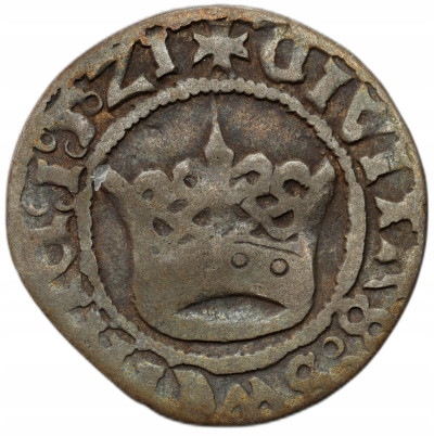 Śląsk, Świdnica. Ludwik II Jagiellończyk. Półgrosz 1521, Świdnica