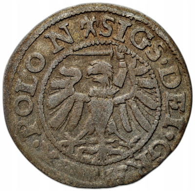 Zygmunt I Stary. Szeląg 1538, Gdańsk - SIGS