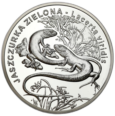 20 złotych 2009 Jaszczurka Zielona – SREBRO