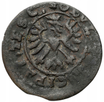 Księstwo Cieszyńskie. Elżbieta Lukrecja (1625-1653). Obol 1654, Cieszyn