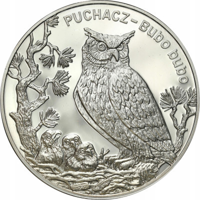 20 złotych 2005 Puchacz – SREBRO