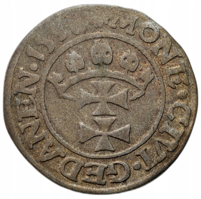 Zygmunt I Stary. Szeląg 1538, Gdańsk - SIGS