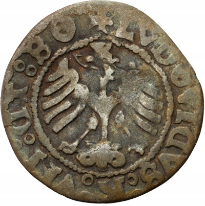 Śląsk, Świdnica. Ludwik II Jagiellończyk. Półgrosz 1521, Świdnica
