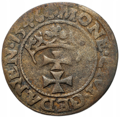 Zygmunt I Stary. Szeląg 1546, Gdańsk – RZADSZY
