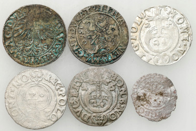 Z. II August, Z. III Waza, J. Wilhelm. Szeląg, półgrosz, półtorak – 6 szt