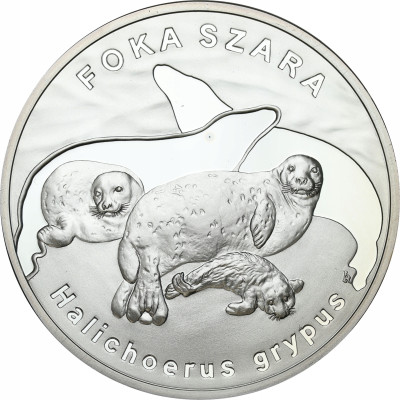 20 złotych 2007 Foka Szara – SREBRO