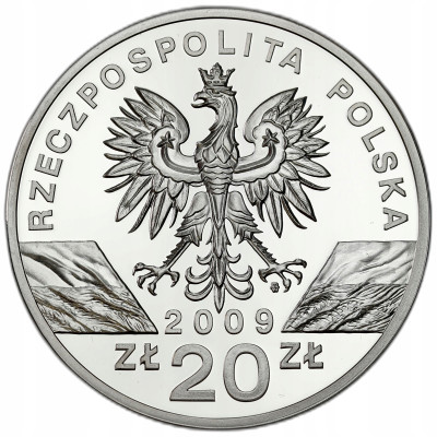 20 złotych 2009 Jaszczurka Zielona – SREBRO