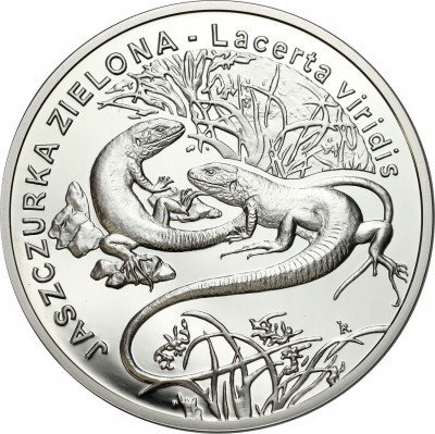 20 złotych 2009 Jaszczurka Zielona – SREBRO