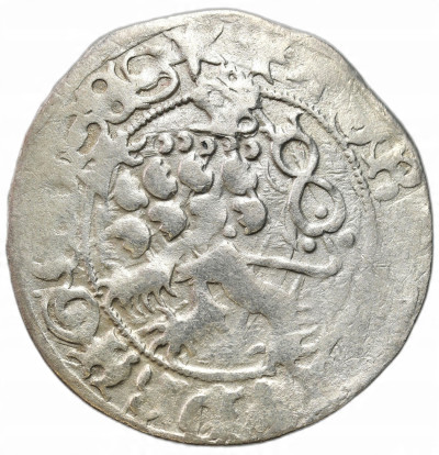 Czechy. Władysław II Jagiellończyk. Grosz praski bez daty, Kutná Hora