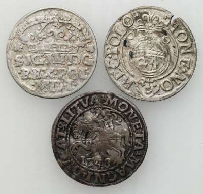 Półgrosz 1548 - Wilno, półtorak 1620 - Bydgoszcz, grosz 1624 - Bydgoszcz