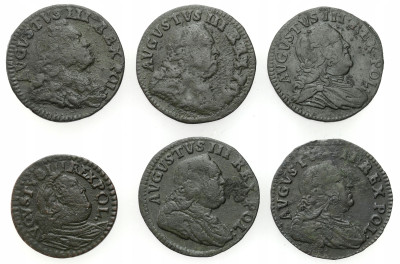 August III. Szeląg 1751 - 1755, zestaw 6 sztuk