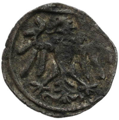 Zygmunt II August. Denar 1549, Gdańsk - RZADKI