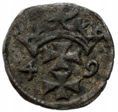 Zygmunt II August. Denar 1549, Gdańsk - RZADKI