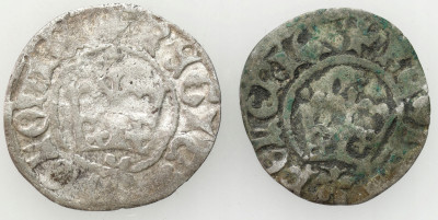 Jan I Olbracht. Półgrosz, Kraków – 2 szt
