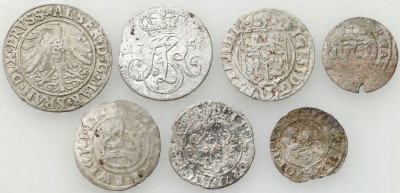 Polska XVI-XVIII wiek, zestaw 7 monet