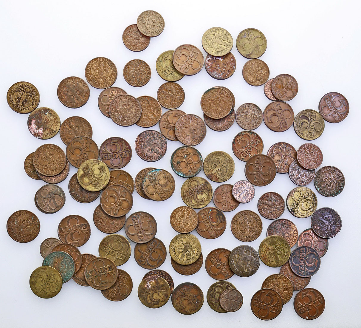 Monety groszowe II Rzeczpospolitej. Duży zestaw od 1 grosza do 5 groszy - 1923-1939 - 92 szt