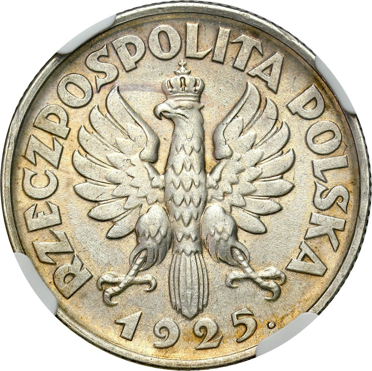 II RP. 1 złoty 1925, Londyn NGC MS62 - PIĘKNE