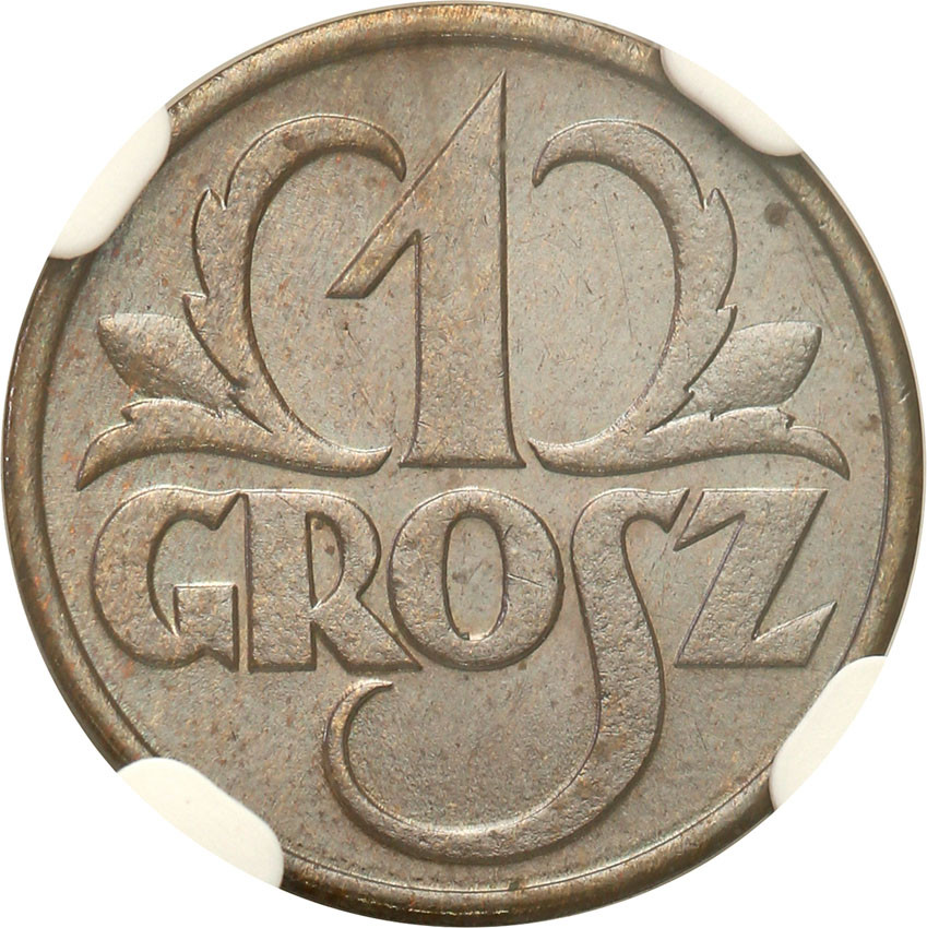 II RP. 1 grosz 1930 NGC MS65 BN (2 MAX)