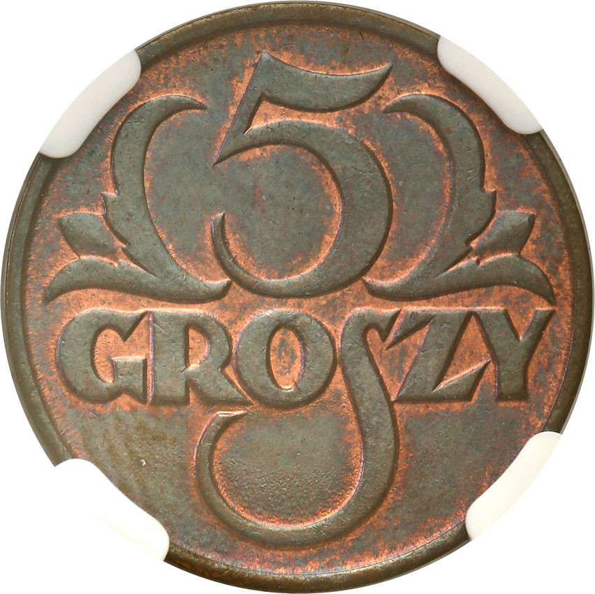 II RP. 5 groszy 1925 NGC MS64 BN (2 MAX)