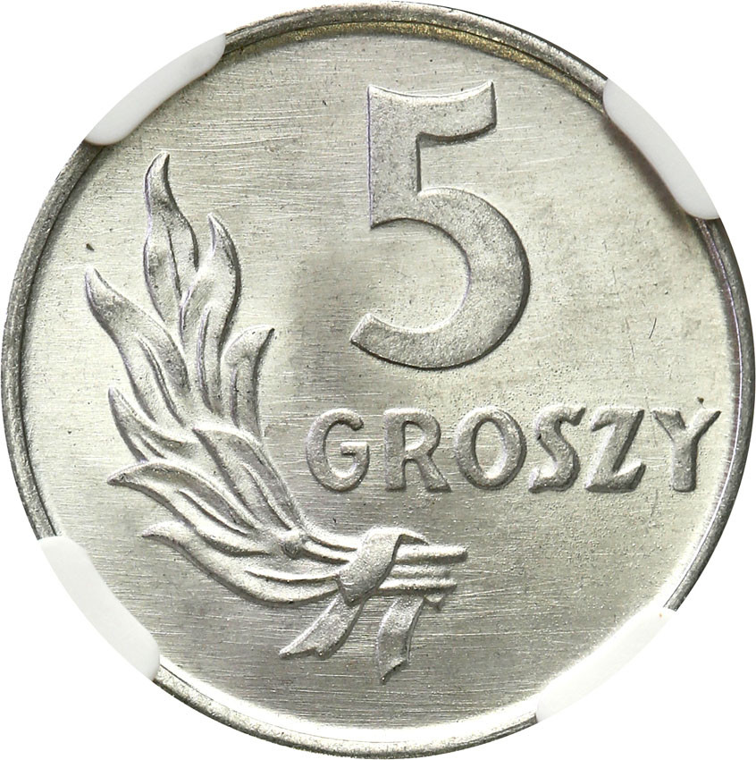 PRL. 5 groszy 1949 aluminium NGC MS66 (MAX)