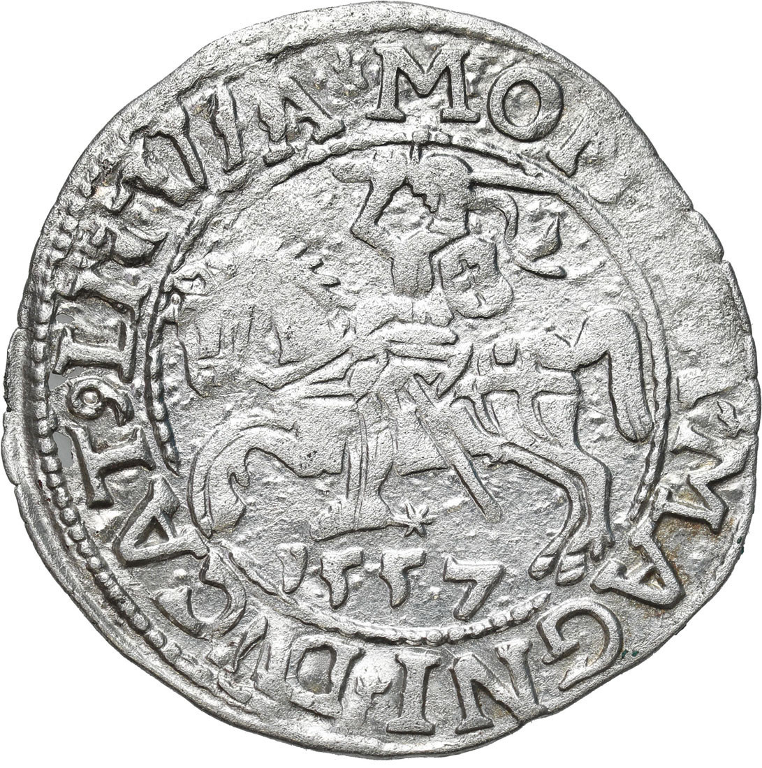 Zygmunt II August. Półgrosz 1557, Wilno