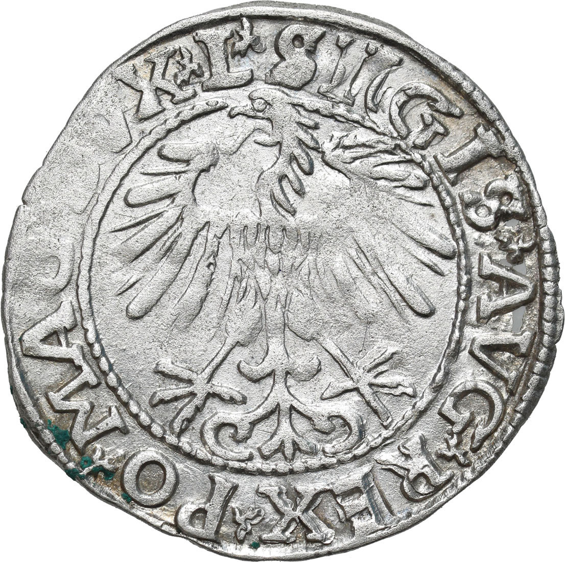 Zygmunt II August. Półgrosz 1557, Wilno