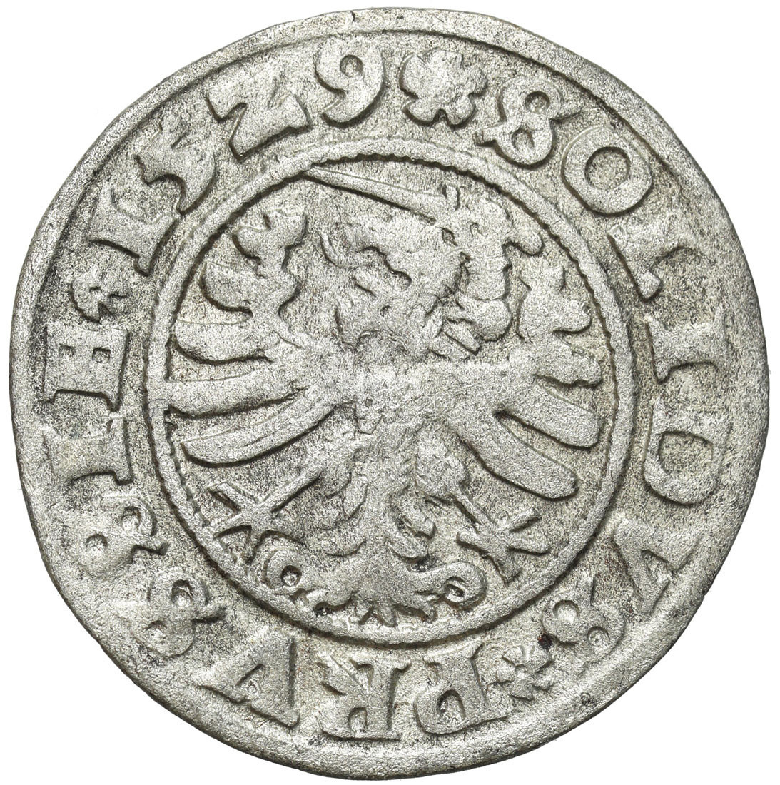 Zygmunt I Stary. Szeląg 1529, Toruń