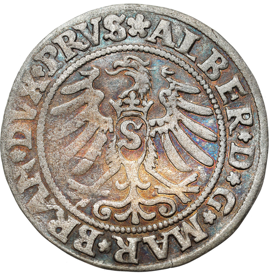 Prusy Książęce. Albert Hohenzollern (1525–1568). Grosz 1531, Królewiec – ŁADNY
