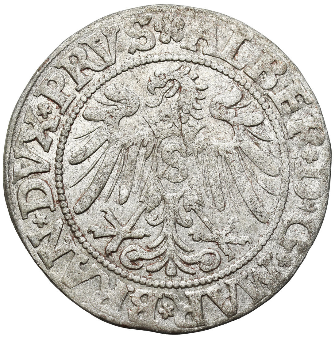 Prusy Książęce. Albert Hohenzollern (1525–1568). Grosz 1534, Królewiec