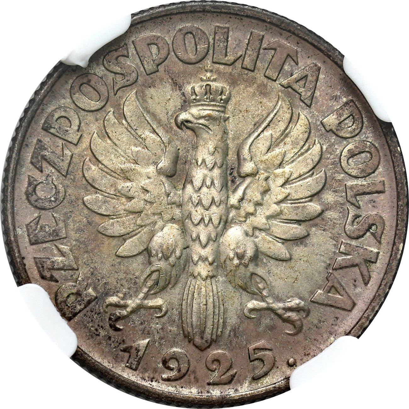 II RP. 1 złoty 1925, Londyn NGC MS61 - PIĘKNE