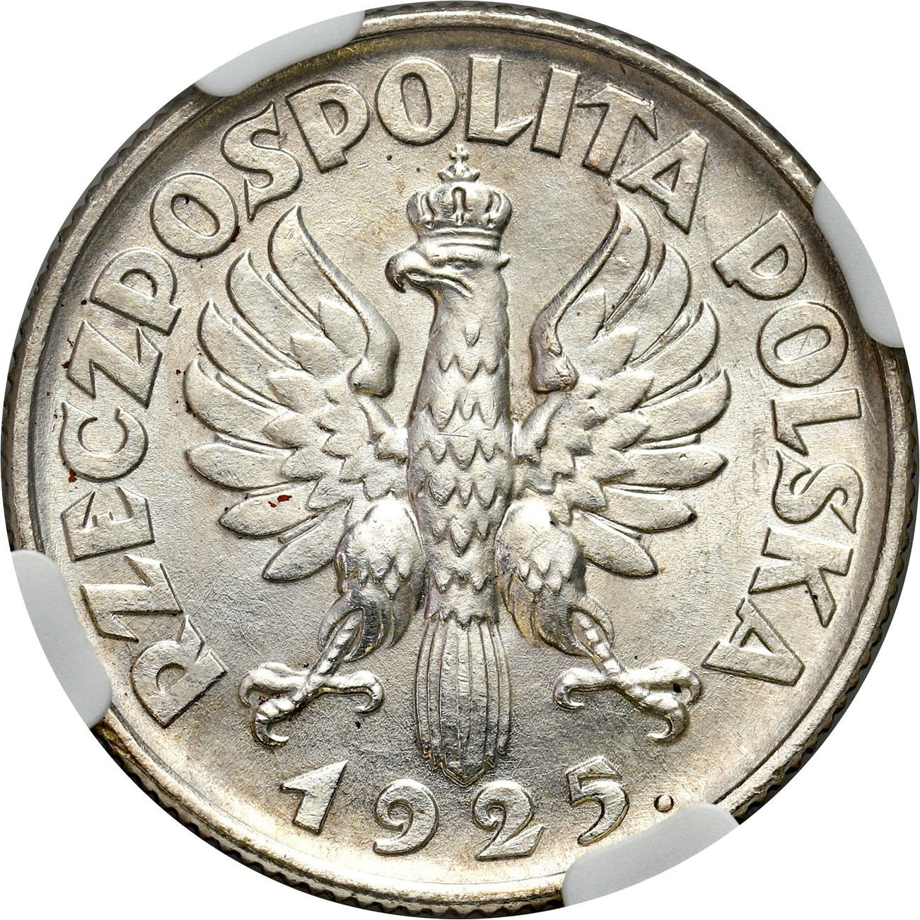II RP. 1 złoty 1925, Londyn NGC MS63 - PIĘKNE
