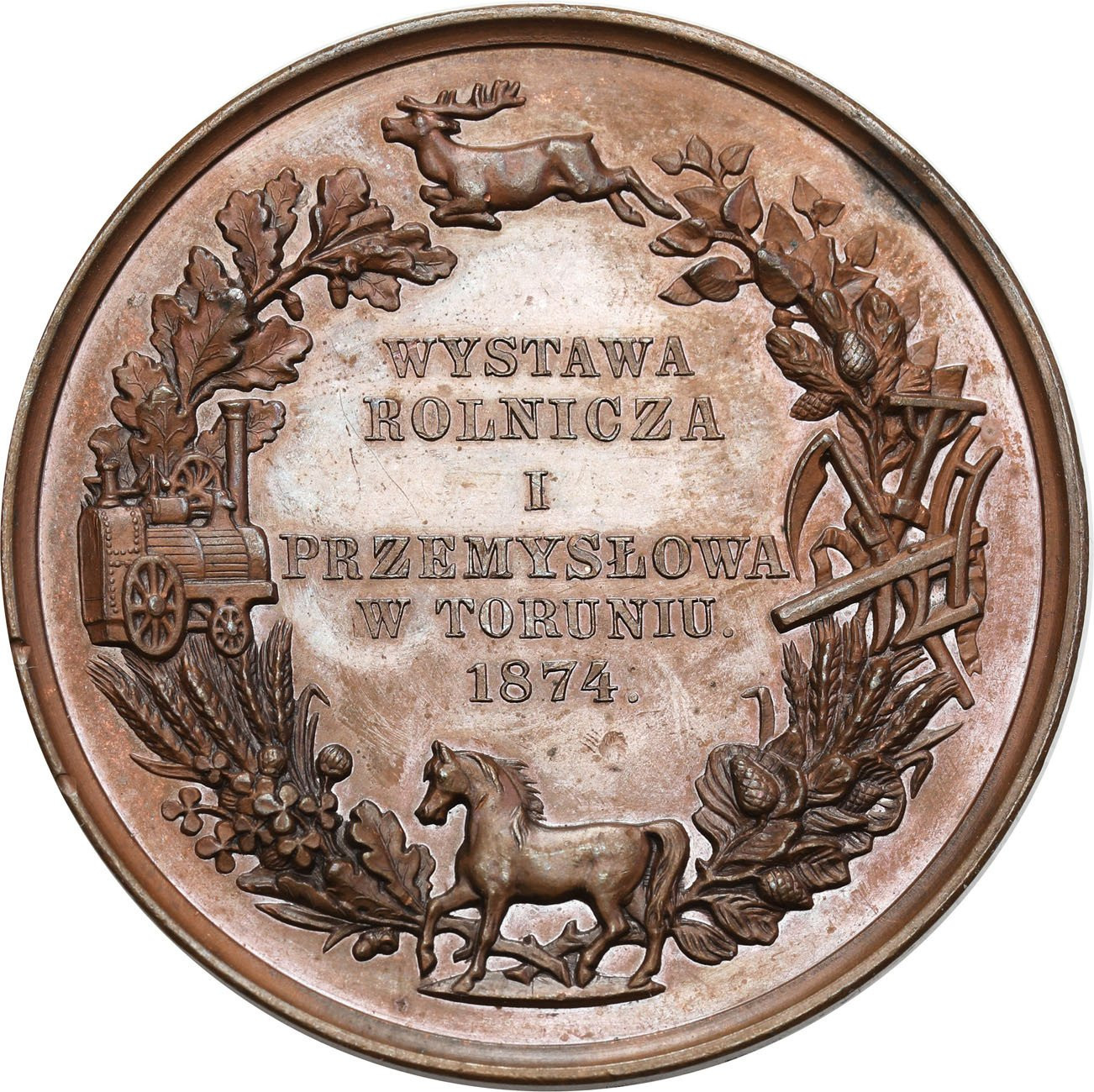 Medal, Wystawa rolnicza i przemysłowa Toruniu, 1874 