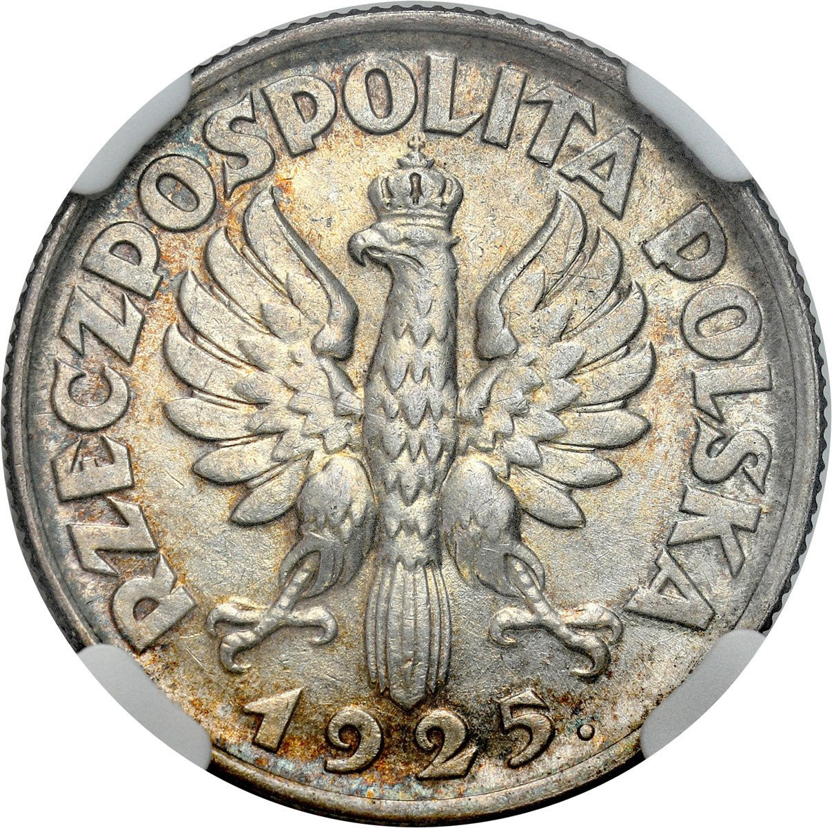 II RP. 1 złoty 1925, Londyn NGC MS61 - PIĘKNE