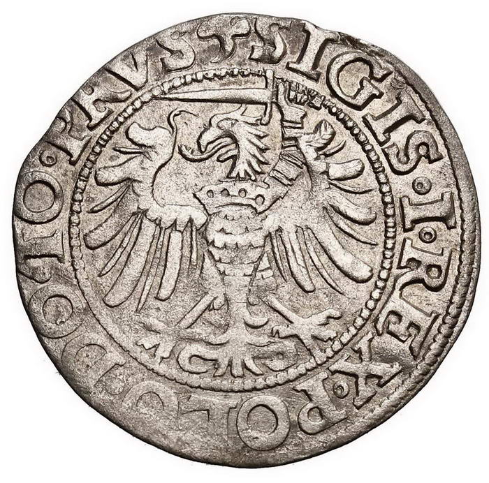Zygmunt I Stary. Grosz 1538, Elbląg